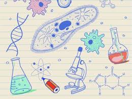 PSAS BIOLOGI  X SEMESTER GANJIL 2025/2026